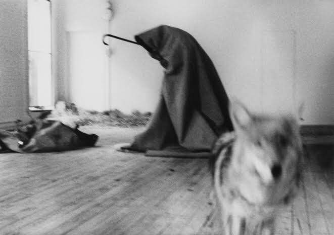 43650759_2029073803819829_4753071625937616896_n